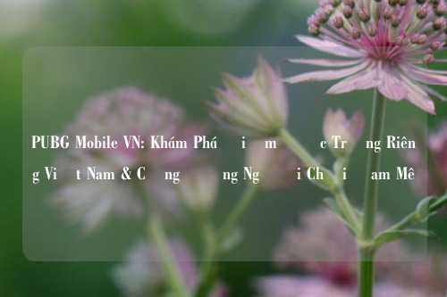 PUBG Mobile VN: Khám Phá Điểm Đặc Trưng Riêng Việt Nam & Cộng Đồng Người Chơi Đam Mê