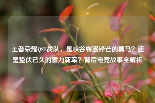 王者荣耀QST战队，是峡谷崭露锋芒的黑马？还是蛰伏已久的蓄力新军？背后电竞故事全解析