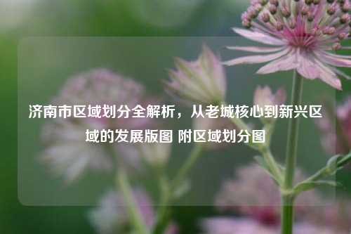 济南市区域划分全解析，从老城核心到新兴区域的发展版图 附区域划分图