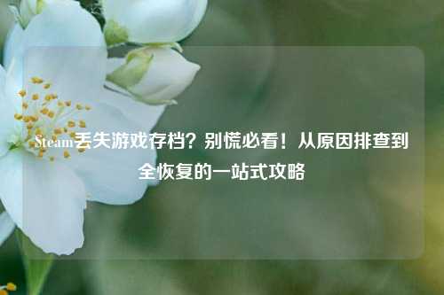 Steam丢失游戏存档?别慌必看!从原因排查到全恢复的一站式攻略