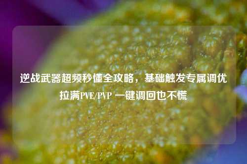 逆战武器超频秒懂全攻略，基础触发专属调优拉满PVE/PVP 一键调回也不慌