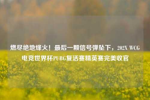 燃尽绝地烽火！最后一颗信号弹坠下，202X WCG电竞世界杯PUBG复活赛精英赛完美收官