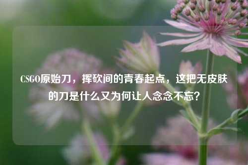 CSGO原始刀，挥砍间的青春起点，这把无皮肤的刀是什么又为何让人念念不忘？