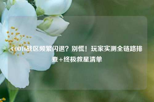 COD16战区频繁闪退？别慌！玩家实测全链路排查+终极救星清单