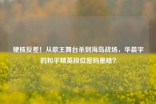 硬核反差！从歌王舞台杀到海岛战场，华晨宇的和平精英段位密码是啥？