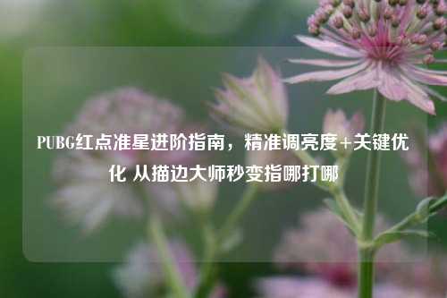 PUBG红点准星进阶指南,精准调亮度+关键优化 从描边大师秒变指哪打哪