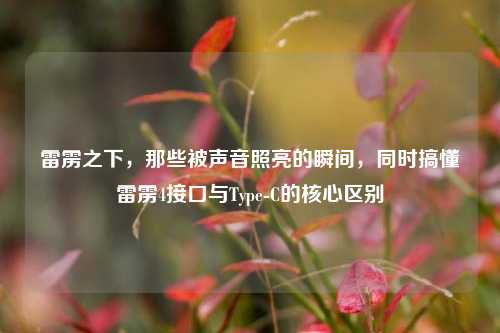 雷雳之下，那些被声音照亮的瞬间，同时搞懂雷雳4接口与Type-C的核心区别