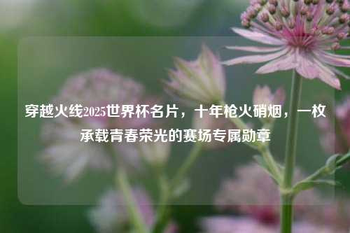 穿越火线2025世界杯名片,十年枪火硝烟,一枚承载青春荣光的赛场专属勋章