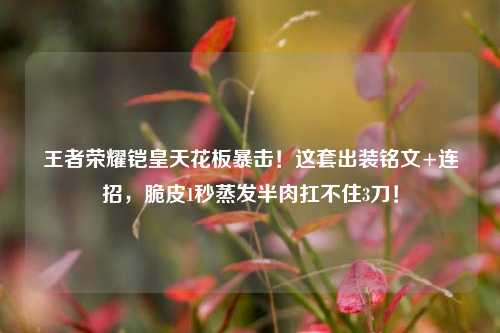 王者荣耀铠皇天花板暴击！这套出装铭文+连招，脆皮1秒蒸发半肉扛不住3刀！