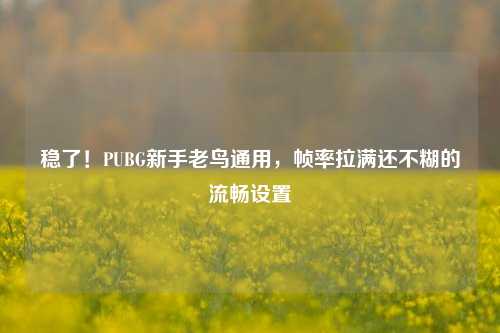 稳了！PUBG新手老鸟通用，帧率拉满还不糊的流畅设置