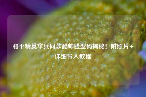 和平精英伞兵同款酷帅脸型码揭秘!附照片+详细导入教程