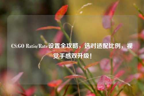 CS:GO Ratio/Rate设置全攻略，选对适配比例，视觉手感双升级！