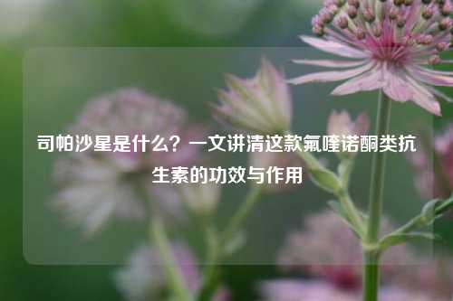 司帕沙星是什么？一文讲清这款氟喹诺酮类抗生素的功效与作用