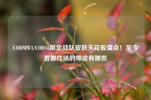 CODMW1/COD16限定战队皮肤天花板盘点！至今看都炸场的帅皮有哪些