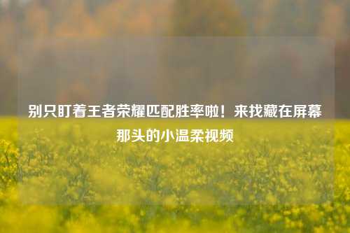 别只盯着王者荣耀匹配胜率啦！来找藏在屏幕那头的小温柔视频