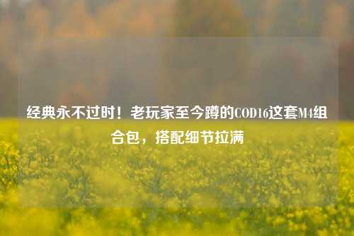 经典永不过时！老玩家至今蹲的COD16这套M4组合包，搭配细节拉满