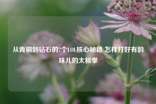从青铜到钻石的7个LOL核心秘籍 怎样打好有韵味儿的太极拳