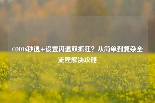 COD16秒退+设置闪退双抓狂？从简单到复杂全流程解决攻略