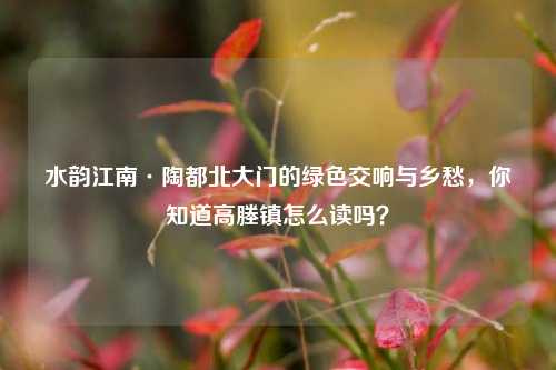 水韵江南·陶都北大门的绿色交响与乡愁,你知道高塍镇怎么读吗?