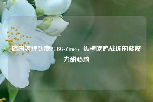 韩国老牌劲旅PUBG-Zimo，纵横吃鸡战场的紫魔力甜心脑