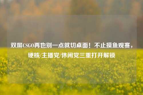 双屏CSGO再也别一点就切桌面！不止摸鱼观赛，硬核/主播党/休闲党三重打开解锁