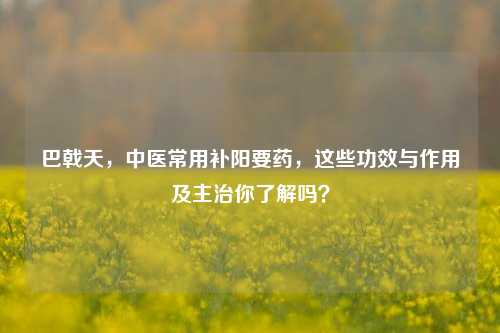 巴戟天，中医常用补阳要药，这些功效与作用及主治你了解吗？
