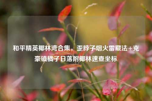 和平精英椰林湾合集，歪脖子烟火雷藏法+克豪镇橘子日落附椰林速查坐标