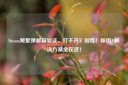 Steam频繁弹邮箱验证、打不开？别慌！原因&解决方案全在这！