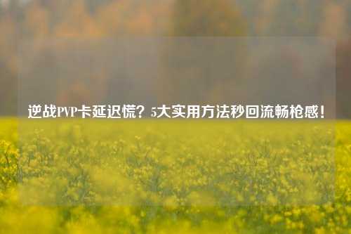 逆战PVP卡延迟慌?5大实用 *** 秒回流畅枪感!