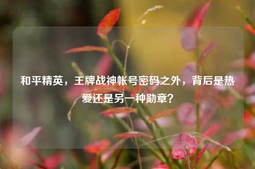 和平精英,王牌战神帐号密码之外,背后是热爱还是另一种勋章?