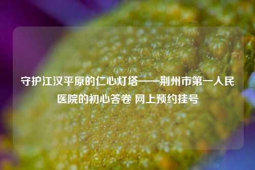 守护江汉平原的仁心灯塔——荆州市之一人民医院的初心答卷 网上预约挂号