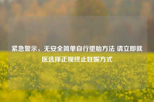 紧急警示,无安全简单自行堕胎 *** 请立即就医选择正规终止妊娠方式