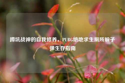 蹲坑战神的自我修养,PUBG绝地求生厕所躲子弹生存指南
