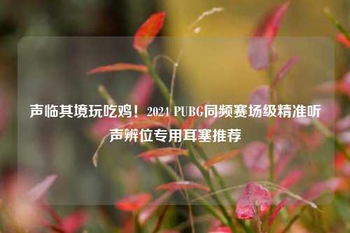 声临其境玩吃鸡！2024 PUBG同频赛场级精准听声辨位专用耳塞推荐