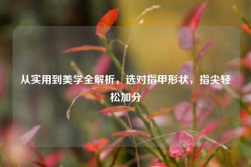 从实用到美学全解析,选对指甲形状,指尖轻松加分
