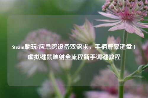 Steam躺玩/应急跨设备双需求，手柄屏幕键盘+虚拟键鼠映射全流程新手调键教程