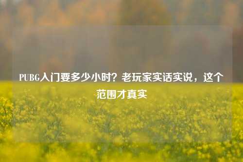 PUBG入门要多少小时?老玩家实话实说,这个范围才真实