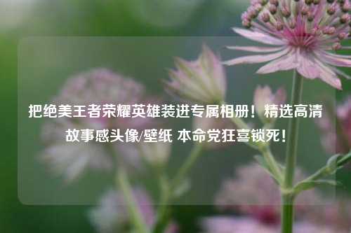 把绝美王者荣耀英雄装进专属相册!精选高清故事感头像/壁纸 本命党狂喜锁死!