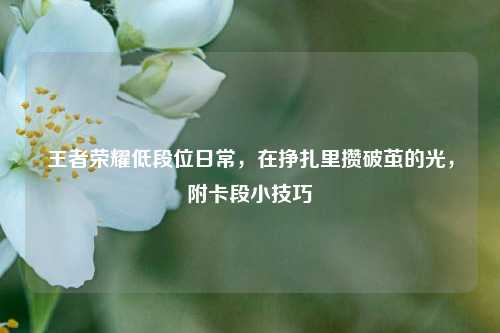 王者荣耀低段位日常，在挣扎里攒破茧的光，附卡段小技巧