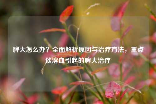 脾大怎么办？全面解析原因与治疗 *** ，重点谈溶血引起的脾大治疗