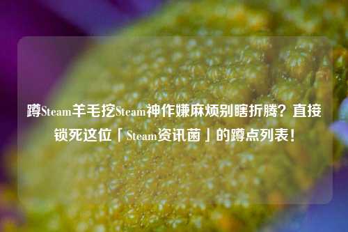 蹲Steam羊毛挖Steam神作嫌麻烦别瞎折腾？直接锁死这位「Steam资讯菌」的蹲点列表！