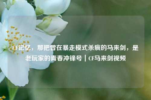 CF记忆，那把曾在暴走模式杀疯的马来剑，是老玩家的青春冲锋号｜CF马来剑视频