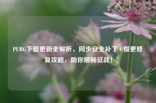 PUBG下载更新全解析，同步安全补丁+慢更修复攻略，助你顺畅征战！