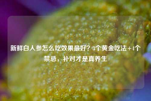新鲜白人参怎么吃效果更好？3个黄金吃法+4个禁忌，补对才是真养生