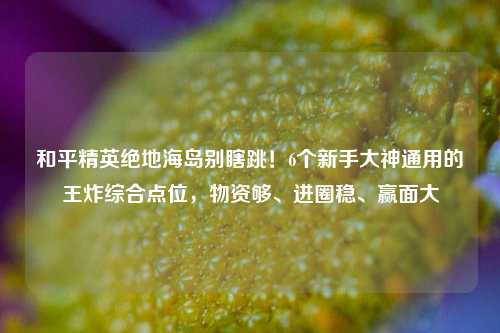 和平精英绝地海岛别瞎跳！6个新手大神通用的王炸综合点位，物资够、进圈稳、赢面大