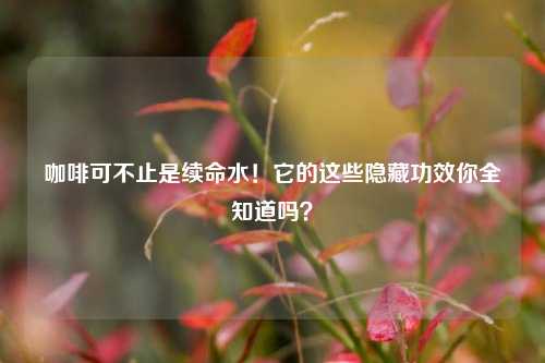咖啡可不止是续命水!它的这些隐藏功效你全知道吗?