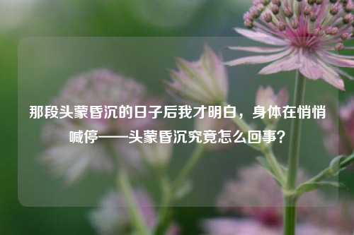 那段头蒙昏沉的日子后我才明白，身体在悄悄喊停——头蒙昏沉究竟怎么回事？