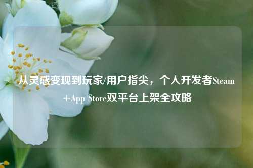 从灵感变现到玩家/用户指尖，个人开发者Steam+App Store双平台上架全攻略