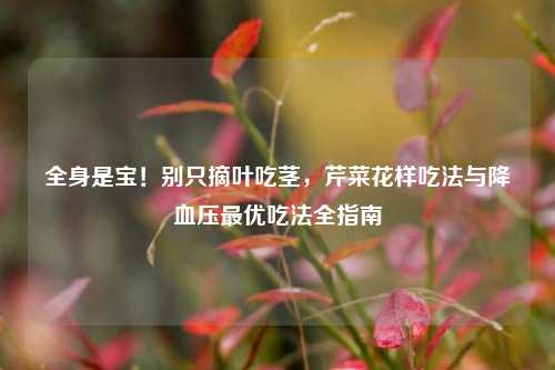 全身是宝！别只摘叶吃茎，芹菜花样吃法与降血压更优吃法全指南