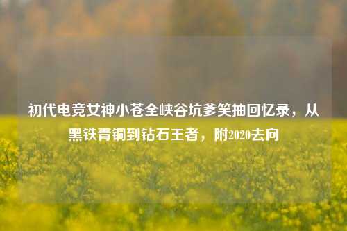 初代电竞女神小苍全峡谷坑爹笑抽回忆录,从黑铁青铜到钻石王者,附2020去向